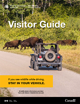 Visitor Guide