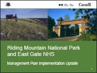 Management Plan Implementation Update