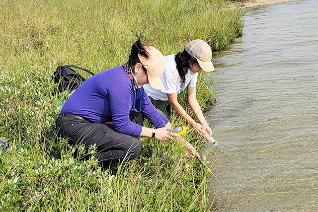 Two people crouch in the grass while holding monitoring equipment into a body of water.