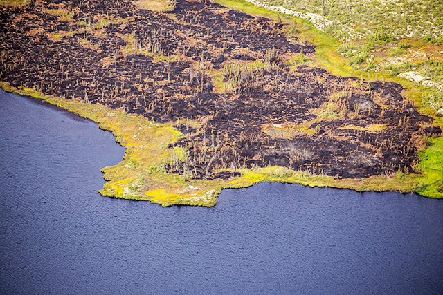 An aerial view of ash and remnants of trees on land near a body of water.