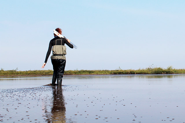 A person, seen from behind, walks in ankle-deep water while holding a tube over their right shoulder.