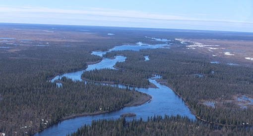 An aerial view of a blue river winding its way through a forest of evergreen trees.