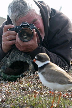 A man lies on the ground to take a photo of a bird.