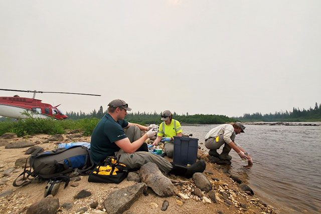 A researcher takes a water sample as two others work on shore in Wapusk National Park. 