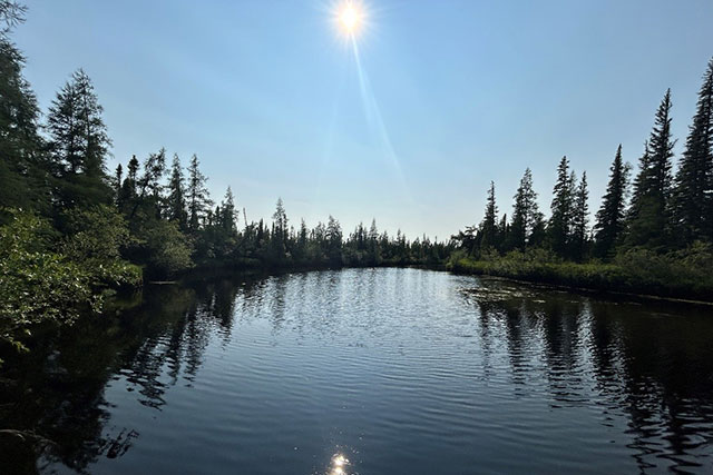 Ripples in a small body of water surrounded by evergreen trees on both banks.