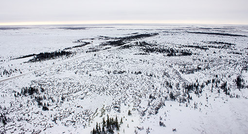 An aerial shot of snowy ground with patches of evergreen trees.