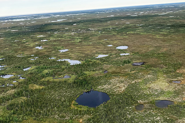 Vue aérienne d’un parc avec plusieurs plans d’eau et des bosquets d’arbres à feuilles persistantes.