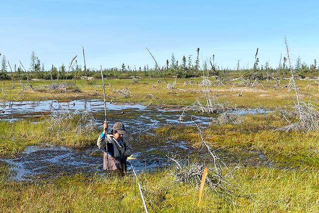 Une personne se tient debout jusqu’à la taille dans un étang tout en tenant une longue perche à la verticale.