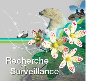 Recherche et surveillance