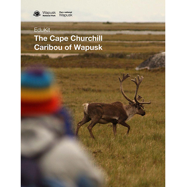 The cover of The Cape Churchill Caribou of Wapusk.