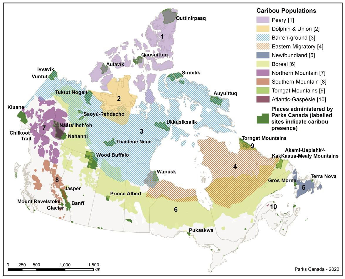 A map of Canada with 10 different caribou populations denoted according to their range. 28 Parks Canada sites with a caribou presence are also identified.