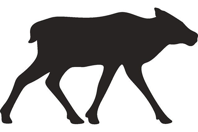 An illustrated silhouette of a young caribou.