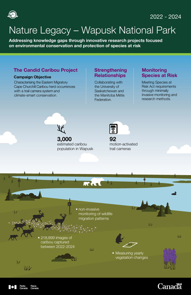 A graphic explaining the Candid Caribou Project.