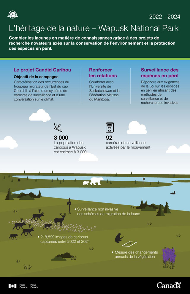 Graphique expliquant le projet Impromptu caribou 