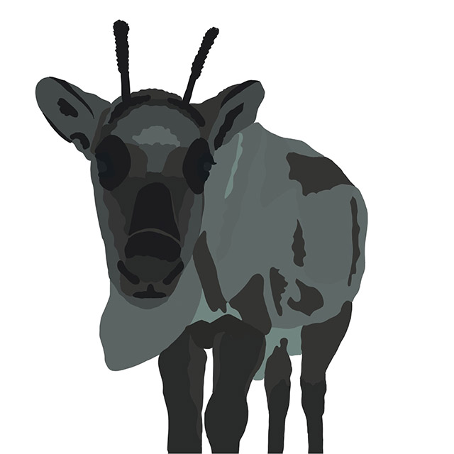 Illustration en divers tons de gris d’un petit faisant face à l’observateur.