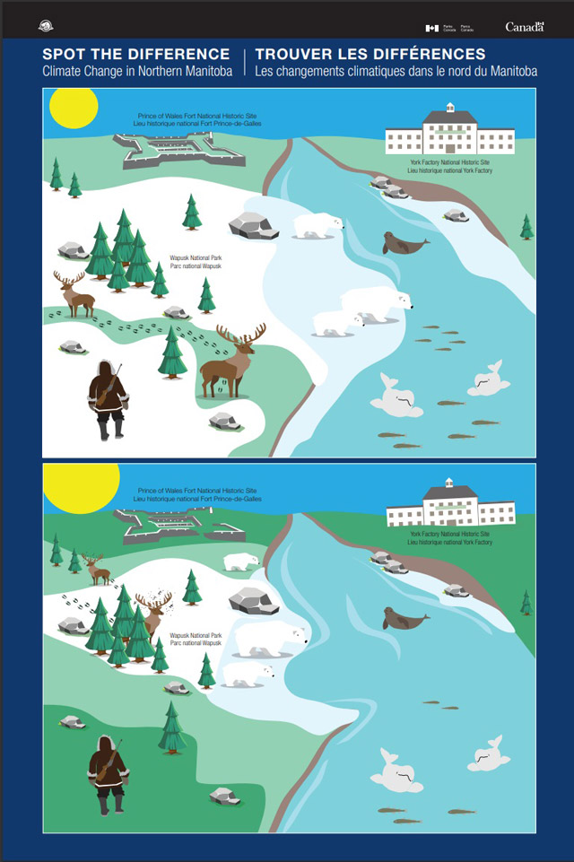 L’on voit deux illustrations similaires d’une scène au nord du Manitoba; le jeu consiste à repérer les différences. La scène comprend une rivière, une forêt, des ours polaires, des phoques, des bélugas, ainsi que les sites historiques nationaux du Fort-Prince-de-Galles et de York Factory.