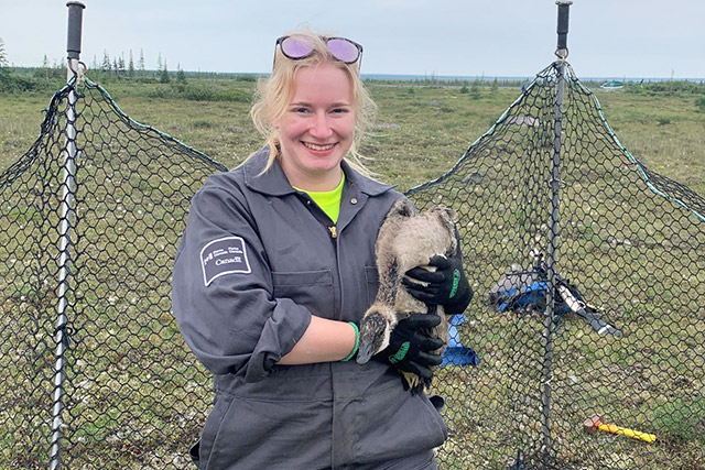A Parks Canada employee in uniform holds a goose in front of a fence.