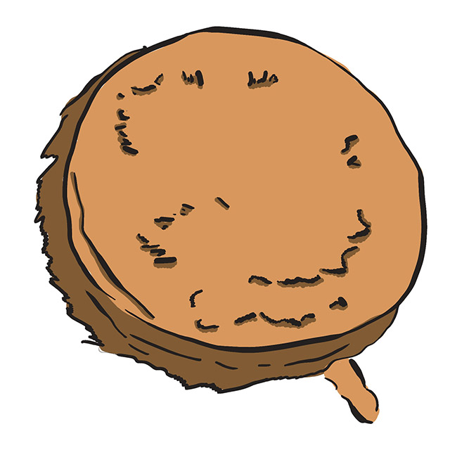 An illustration of a hand drum.