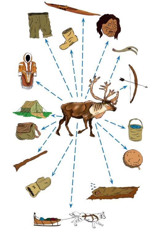 An illustrated graphic with a caribou in the centre with arrows pointing out to graphics of, clockwise from top, a kayak, the face of an Indigenous person with tattoos, a sled anchor, a bow and arrow, a bucket, a drum, a person sleeping in a sleeping bag on a blanket, a dog pulling a sled, a mitten, a rifle case, a hunting bag, a tent, a warm coat with a fur-lined hood, a pair of pants and a boot.