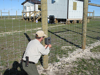 Researcher kneels to install camera on fence post.