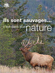 Ils sont sauvage... c'est dans leur nature