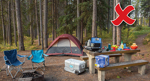 Un emplacement de camping malpropre. Une glacière, un réchaud de camping et une grosse cruche d’eau sont visibles sur la table de pique-nique. Un grand nombre d’aliments et de produits parfumés traînent sur la table de pique-nique. Aucun campeur n’est visible. 