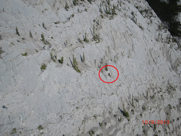 Heli-sling rescue of a Cliffed-out dog on Morro Peak
