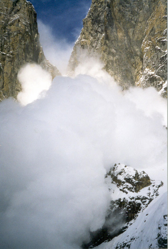 Avalanche, Polar Circus