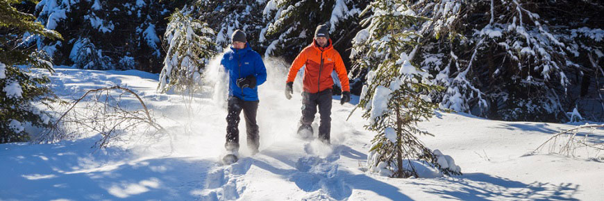 Two friends snowshoeing in the woods