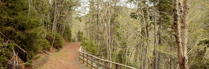A nature trail