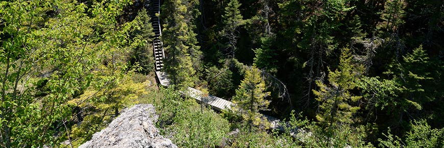 A view of stairs and a bridge of the Kinnie Brook Trail