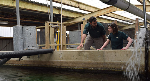 Workers at the Mactaquac Biodiversity Facility