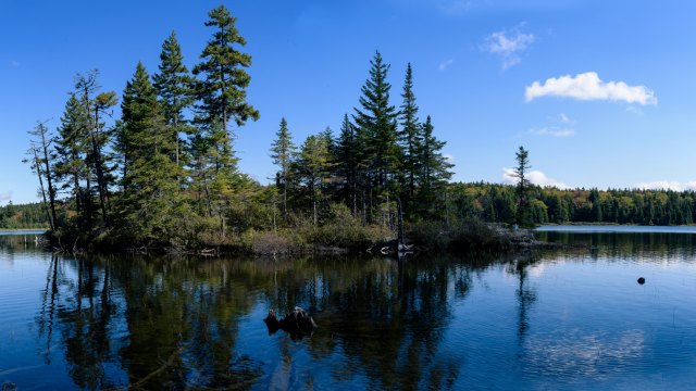 Une vue du paisible lac Wolfe capturée à partir d'un petit sentier qui part du terrain de camping Lakeview