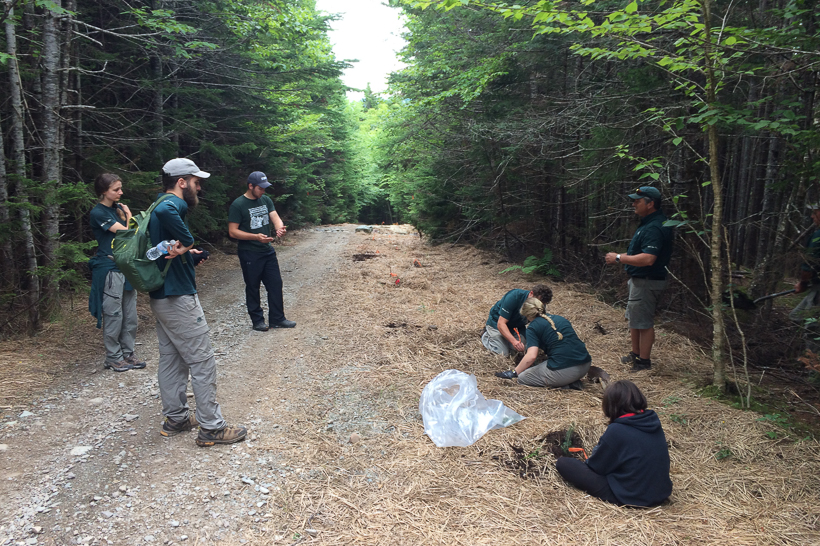 Une équipe du personnel du parc et d'autres personnes travaillant à la restauration d'un sentier.