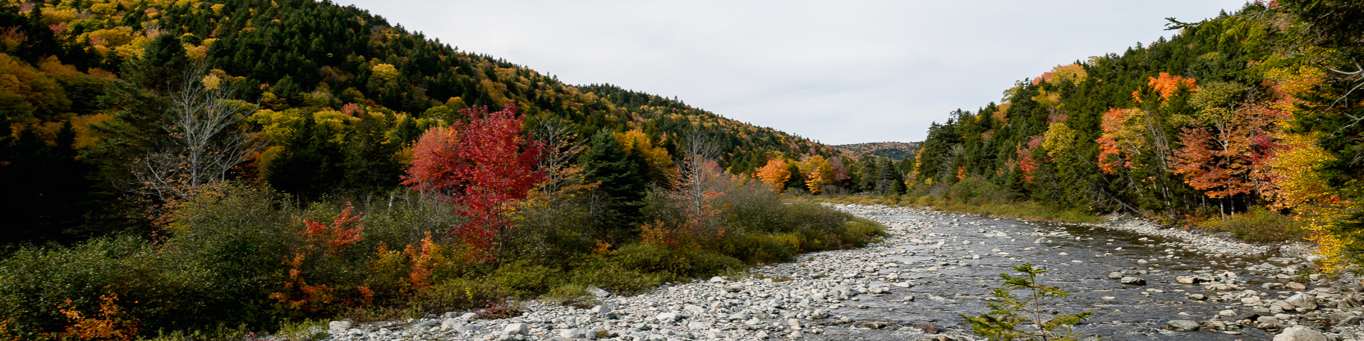 Fall colours Upper Salmon River trail