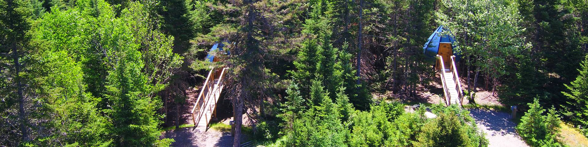 Deux Ôasis dans une forêt près d'un lac