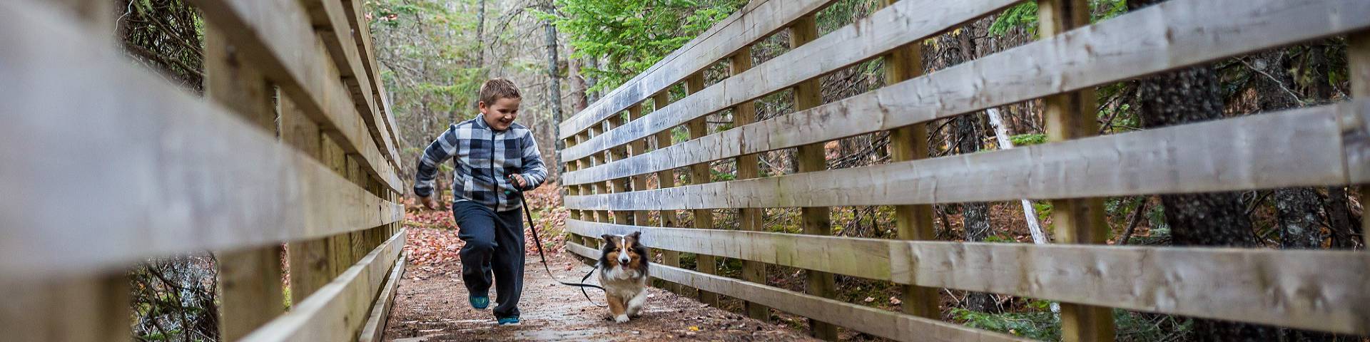 A young boy is running on a bridge with his dog on a leash. 