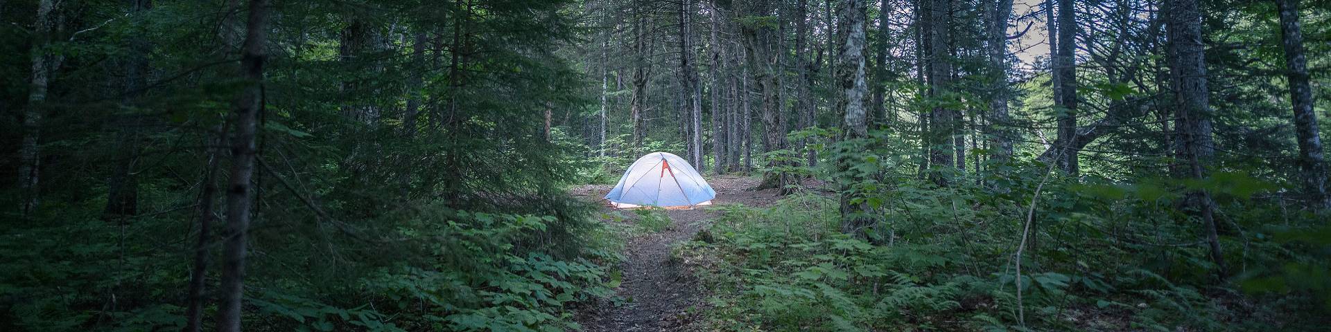 A tent in the forest