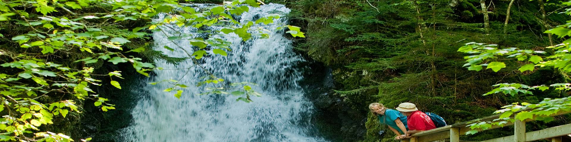 People on the stairs of the Dickson Falls trail