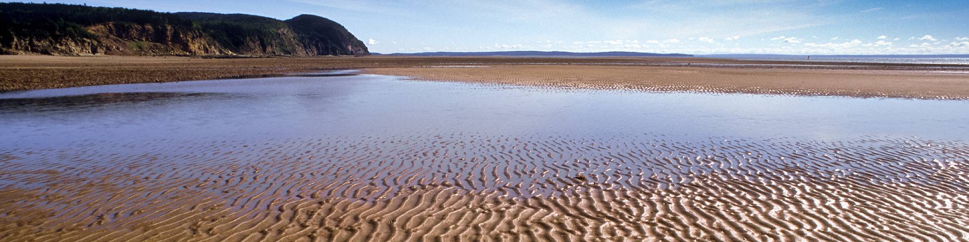 A view of a beach at low tide with the ocean recessed far away