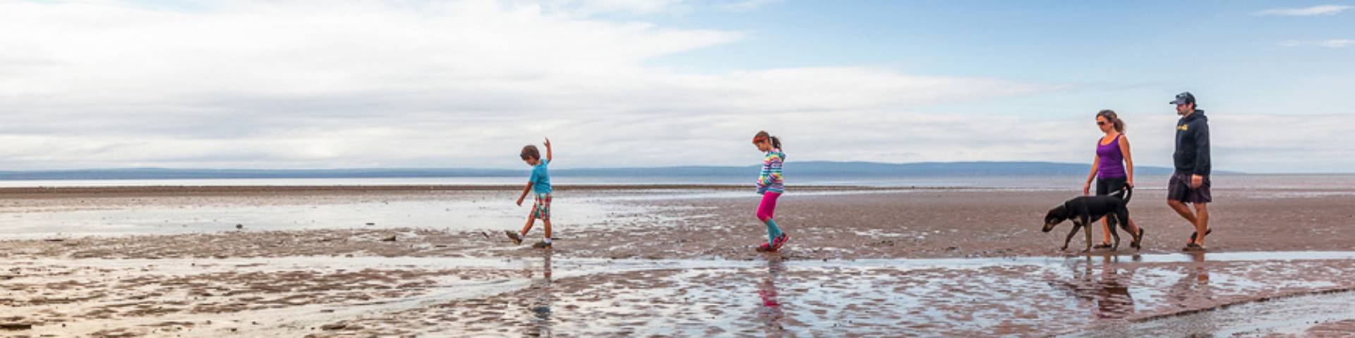 Une famille et leur chien marchant sur la plage