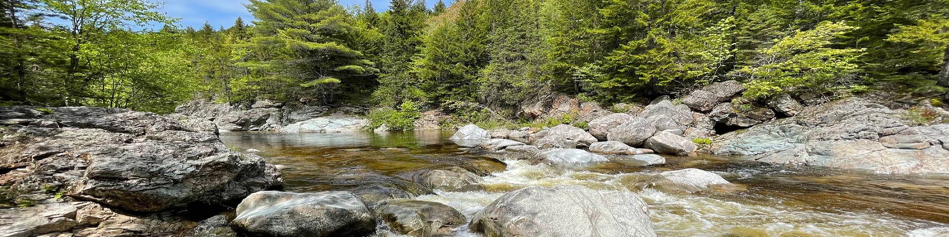 Une rivière rocheuse et des arbres