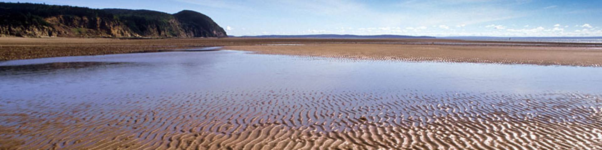A view of a beach at low tide with the ocean recessed far away