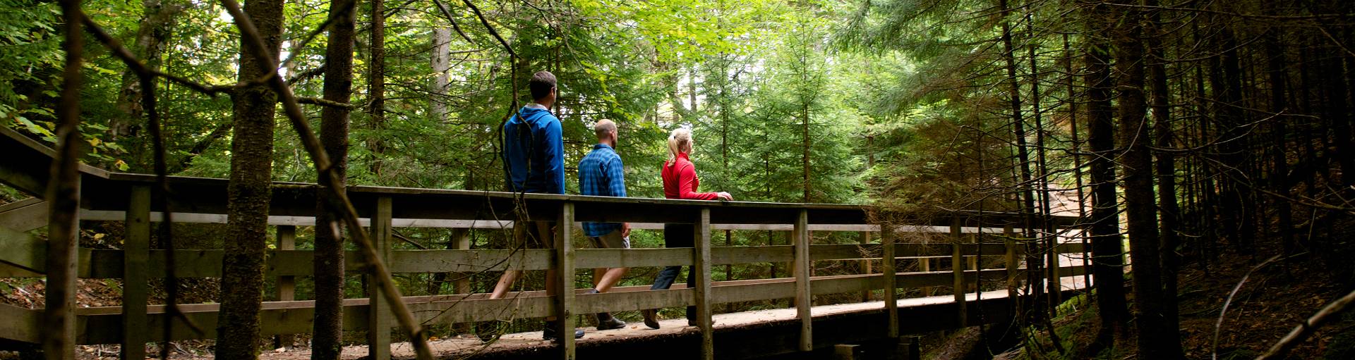 People on a bridge of the Dickson Falls trail