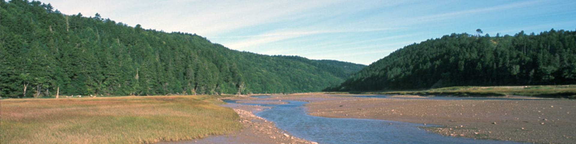 Upper Salmon river