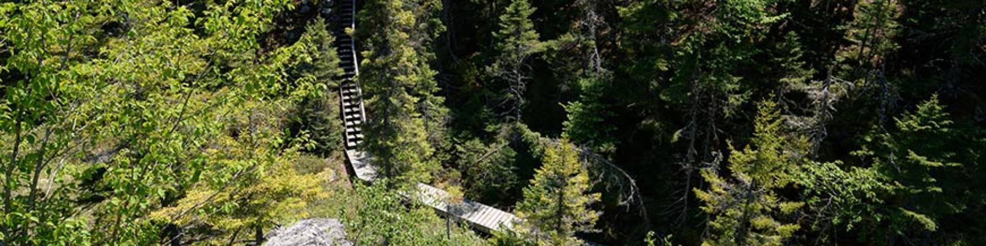 Une vue d'un escalier et d'un pont du sentier du ruisseau Kinnie