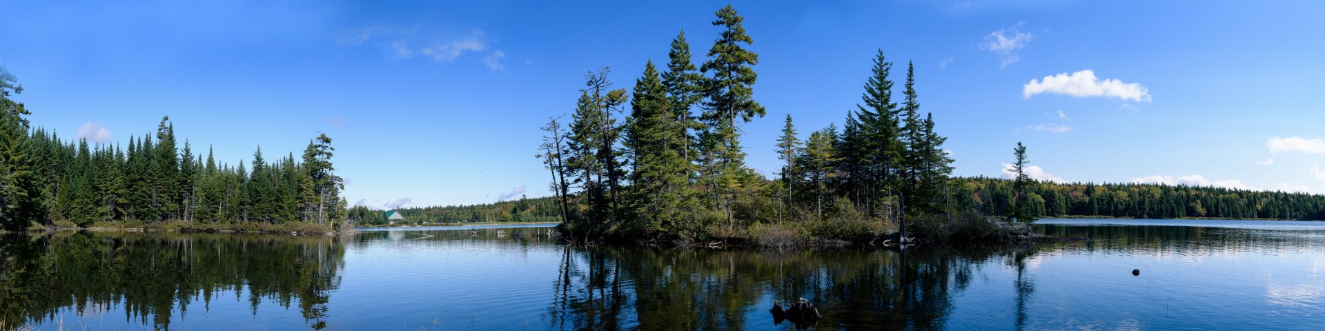 Une vue du paisible lac Wolfe capturée à partir d'un petit sentier qui part du terrain de camping Lakeview