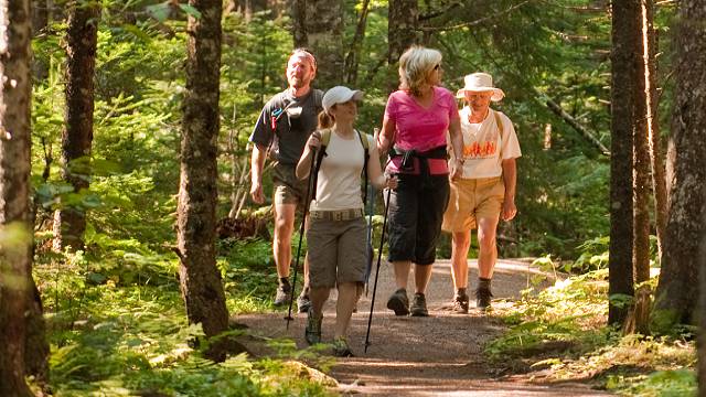 Quatre adultes marchant dans un sentier boisé