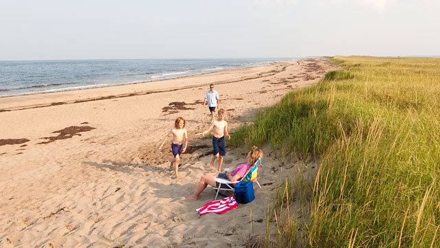Une famille sur la plage, sur une dune