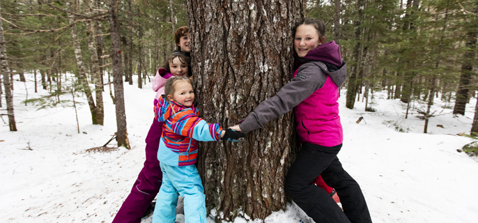 Four children holding hands around a large tree in winter. 